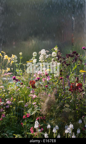 Völker Choice Award Gewinner im Bereich frisch-Gärten - RHS Chelsea Flower show 2014 - The Mind Eye Garten für RNIB - Royal National Institute for the Blind - Designer LDC Design - Sponsoren - Landschaft - beste Show in der frisch Gärten & Gold-Medaille ausgezeichnet Stockfoto