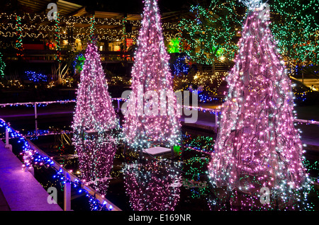 Schönen Weihnachtsbaum Lichter und andere Urlaub Illuminationen an VanDusen Botanical Garden in Vancouver, BC, Kanada. Stockfoto