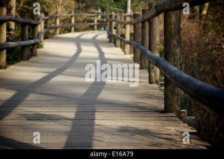 Pfad bei Center Parcs in Longleat, Wiltshire Stockfoto