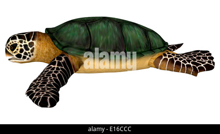 Digitale 3D Rendern einer schwimmen Meer Schildkröte isoliert auf weißem Hintergrund