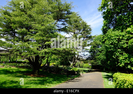 Park Road Gärten, Park Road, Grange-Over-Sands, Cumbria, England, UK Stockfoto