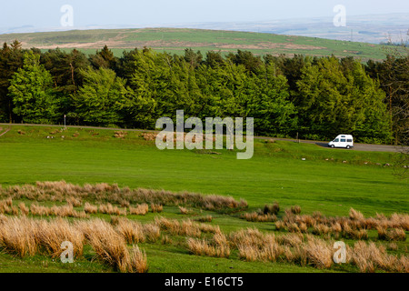 alte Ford Transit Wohnmobil geparkt abseits der ausgetretenen Pfade in Layby Rural unterwegs in Northumberland uk Stockfoto