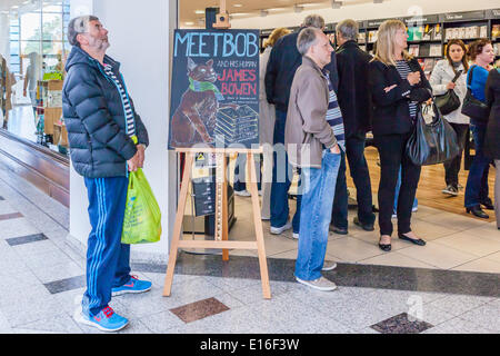 Kingston upon Thames, London, England, 24. Mai 2014. James Bowen und seine berühmten Ingwer Katze, Bob, waren überwältigt von begeisterten Fans bei einer Signierstunde in Waterstones Buchladen in Kingston-upon-Thames heute Morgen. James Bowen fanden die kranke, streunende Katze vor seiner Haustür, im Jahr 2007. Er fütterte ihn, medizinischen Versorgung für ihn gesucht. und versuchten, die Besitzer der Katze aber nicht zu verfolgen. Ehemals obdachlose Addict und Big Issue Verkäufer behauptet, dass Bob ihm einen Grund gab zu leben und sein Leben umdrehen. Bildnachweis: Eden Breitz/Alamy Live-Nachrichten Stockfoto