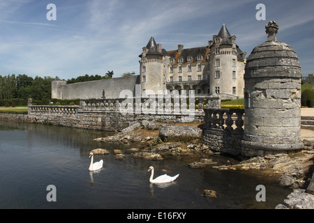 Schwäne im Burggraben des Schlosses von Roche Courbon, in der Nähe von Rochefort in Saintonge, Frankreich Stockfoto