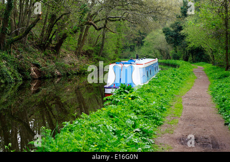 Blaue Narrowboat festgemacht an der Staffordshire und Worcestershire Kanal, Prestwood, Staffordshire, England, Vereinigtes Königreich Stockfoto