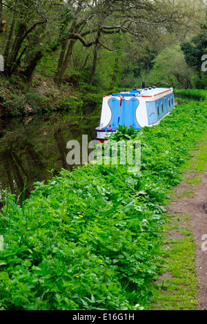 Blaue Narrowboat festgemacht an der Staffordshire und Worcestershire Kanal, Prestwood, Staffordshire, England, Vereinigtes Königreich Stockfoto