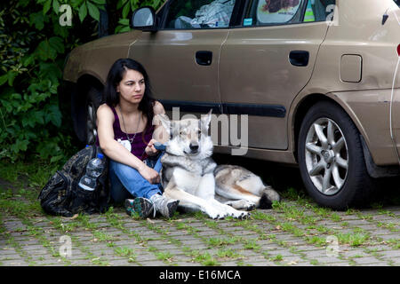 Ein treuer tschechoslowakischer Wolfdog ruht friedlich neben einer Frau während einer Pause auf ihrem Roadtrip-Abenteuer Stockfoto