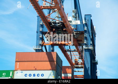 Krane in Europoort im Hafen von rotterdam Stockfoto