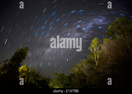 Nachthimmel, Fraser Island, Queensland, Queensland, Australien Stockfoto