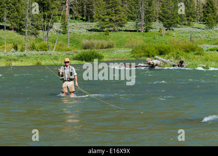 Montana, Madison River, Fliegenfischer Angeln Stockfoto