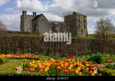 Helmsley Walled Garden mit Helmsley Schloß im Hintergrund Stockfoto