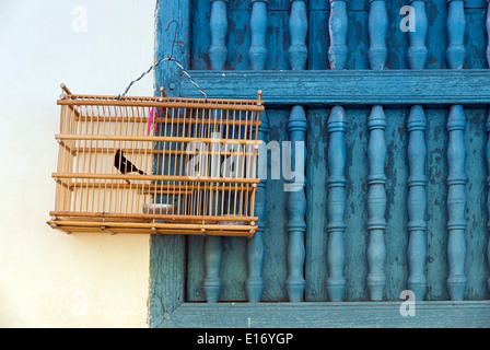 Vogelkäfig auf eine Wand mit blauen Fenster. Trinidad, Kuba Stockfoto