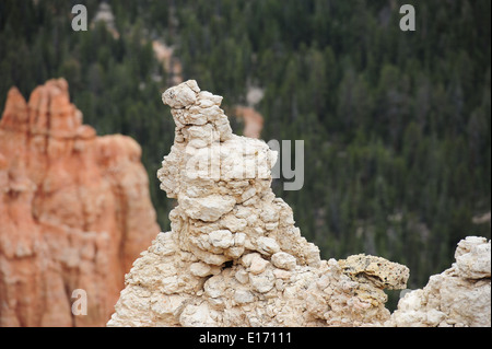 Agua Canyon Bryce-Canyon-Nationalpark Stockfoto