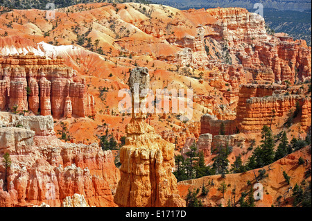 Agua Canyon Bryce-Canyon-Nationalpark Stockfoto