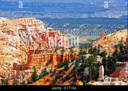 Agua Canyon Bryce-Canyon-Nationalpark Stockfoto