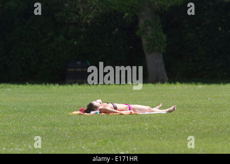 Wimbledon London, UK. 25. Mai 2014. Ein Mitglied der Öffentlichkeit nutzt das warme Wetter zum Sonnenbaden in Wimbledon Park Credit: Amer Ghazzal/Alamy Live-Nachrichten Stockfoto