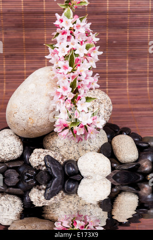 Spa-Konzept mit Zen Steinen auf Wasser, Blumen und Bambus Stockfoto