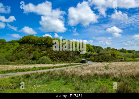 In Richtung Landacre Brücke über den Fluss Barle, in der Nähe von Exford, Exmoor, Somerset, England Stockfoto