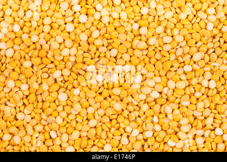 Berühmte indische Hülsenfrucht Channa dal Stockfoto