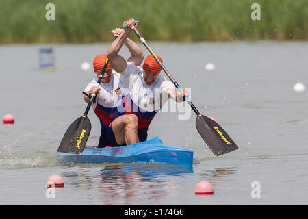 Szeged, Ungarn. 25. Mai 2014. Goldmedaillengewinner, Ilya Shtokalov und Mikhail Pavlov Russlands konkurrieren C2 Männer 500m Finale 2014 ICF Kanu-Sprint und Paracanoe-WM in Szeged, Ungarn, 25. Mai 2014. Das russische Duo gewann Gold mit einer Zeit von 1: 40,991 Minuten. Bildnachweis: Attila Volgyi/Xinhua/Alamy Live-Nachrichten Stockfoto