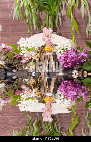 Spa-Konzept mit Zen Steinen auf Wasser, Blumen und Bambus Stockfoto