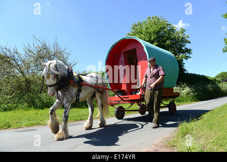 Black Country Traveller der 26-jährige Chris Millard auf dem Weg zur Appleby Horse Fair mit seinem von seinem Pferd Miles gezogenen Bowtop-Wohnwagen. West Midlands Großbritannien. Romany Community Travellers Horses Wagon Britain UK man Male Country Lane BILD VON DAVE BAGNALL Stockfoto