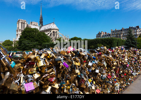 Liebesschlösser entlang Pont de l'Archevêché unterhalb der Kathedrale Notre Dame, Paris Frankreich entlang Ufer Stockfoto