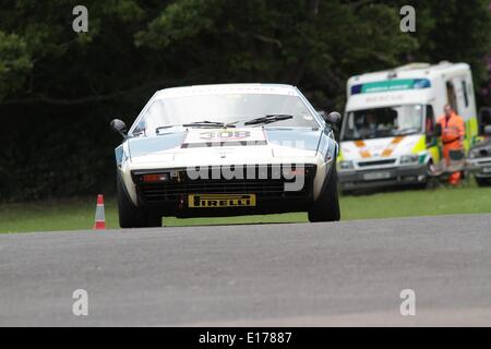 Konkurrenten bei der 2014 Motorsport im Palazzo im Crystal Palace Park Südlondon 25.05.2014 Stockfoto