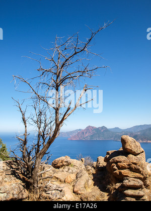 Calanque de Piana Felsformationen Stockfoto