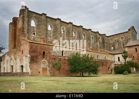 Abtei San Galgano in Siena, Toskana, Italien. Stockfoto