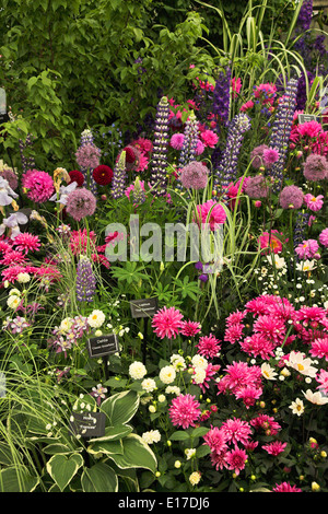 Chelsea Flower Show 2014 Stockfoto