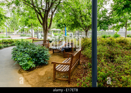 Ein obdachloser Mann schläft auf einer Bank in der Myriad Botanical Gardens in der Innenstadt von Oklahoma City, bei Reno und Robinson. Oklahoma, USA Stockfoto