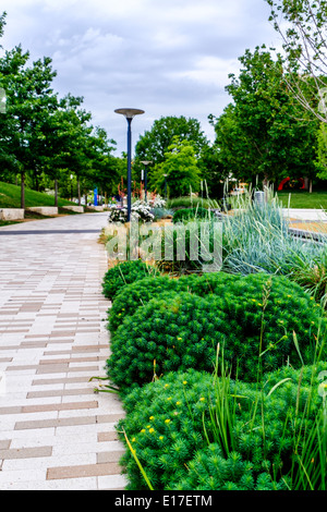 Einen Pfad durch die Myriad Botanical Gardens in der Innenstadt von Oklahoma City, Oklahoma, USA, bei Reno und Robinson. Stockfoto