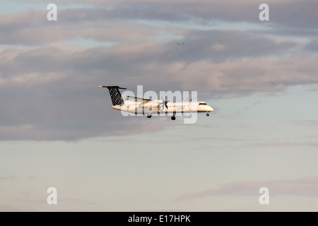 Porter Bombardier Q400 Turboprop-Flugzeuge kommen, um auf die Toronto Islands bei Billy Bishop Airport landen Stockfoto