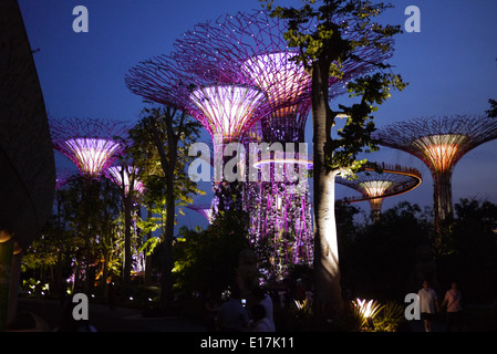 Marina Bay Sands, Singapur - 20. März 2014: Der legendäre Super Baumstruktur von Gärten an der Bucht in Singapur Stockfoto