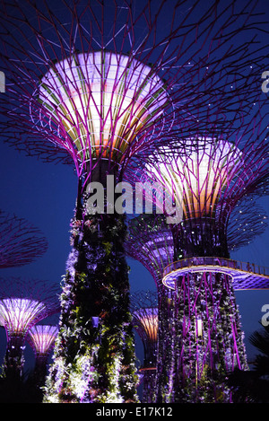 Marina Bay Sands, Singapur - 20. März 2014: Der legendäre Super Baumstruktur von Gärten an der Bucht in Singapur Stockfoto