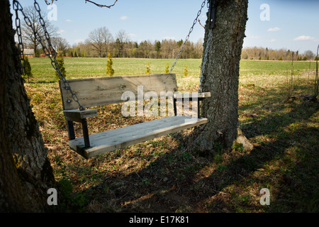 Komfortable Schaukeln zwischen zwei Bäumen im Schatten Stockfoto