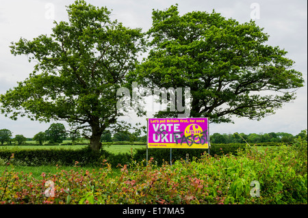 Gesehen stark scheiden in der Nähe von Billingshurst in Sussex über die vor- und Nachteile der UKIP Abstimmung. Stockfoto