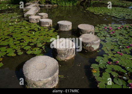 Trittsteine nennt man Tobi-Ishi in Japanisch, wörtlich skipping Stones oder fliegenden Steinen. Stockfoto