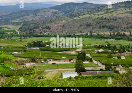 Okanagan Valley, in der Nähe von Oliver, British Columbia, Kanada.  Eine ländliche Gegend bekannt für Weingüter und Weinberge und Obstgärten. Stockfoto