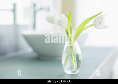 Weiße Tulpen in Knospe Vase im Badezimmer Stockfoto