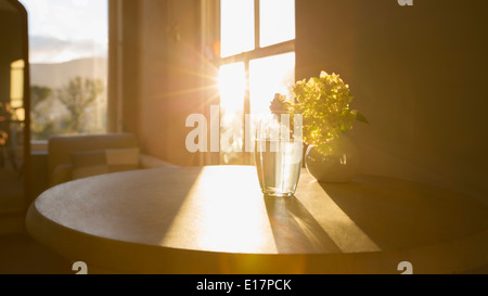 Sonne im Fenster hinter Blume im Glas Stockfoto