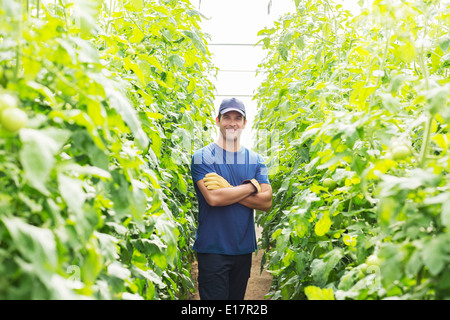 Porträt von zuversichtlich Arbeiter unter Tomatenpflanzen im Gewächshaus Stockfoto