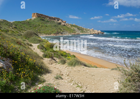 Goldener Sandstrand, Ghajn Tuffieha Bay, nördliche Malta, Europa. Stockfoto