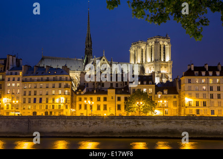 Twilight-Ansicht der Kathedrale Notre Dame, erhebt sich über dem Gebäude der Ile-de-la-Cité, Paris Frankreich Stockfoto