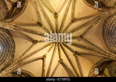 Detail der Decke im Inneren der Kapitelsaal von Valencia Kathedrale. Stockfoto