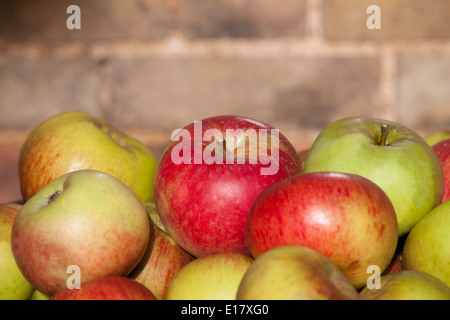 Eine Kiste Äpfel essen, Nahaufnahme Stockfoto