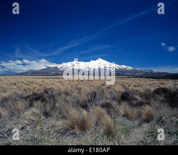 Neuseeland. Schneebedeckte Berge des Tongariro National Park. Stockfoto