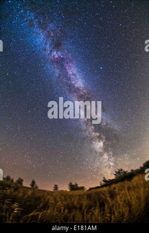 Im Sommer Milchstraße an einem klaren mondlosen September Abend aus meinem ländlichen Garten im Süden von Alberta. Stockfoto