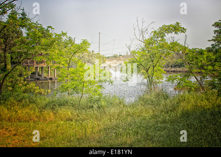 Angeln-Hütte auf der Pialassa della Baiona brackige Lagune in der Nähe von Marina Romea an Te adriatischen Küste in Ravenna (Italien) Stockfoto